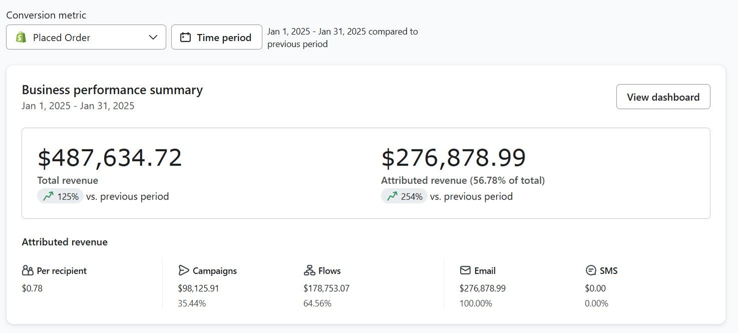 Klaviyo business performance summary, January 1–31, 2025